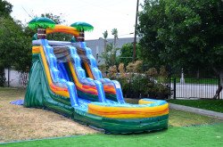 Cali20Palms20Slide203 1676987171 Cali Palms 15' Waterslide/Dry Slide