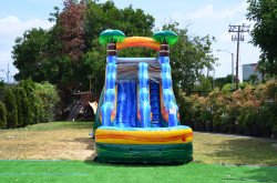 Cali20Palms20Slide204 1676987170 Cali Palms 15' Waterslide/Dry Slide