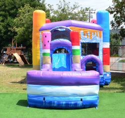 Ice20Pops202 1683409470 Ice Pops Combo Water Slide/Dry Slide