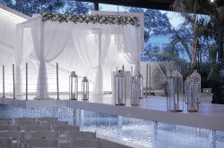 Chuppah/Wedding Canopy 8' x 8'