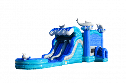 Dolphins Dual Lane Water Slide/Dry Slide Combo