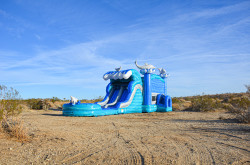 Dolphin20Combo 1676937773 1 Dolphins Dual Lane Water Slide/Dry Slide Combo