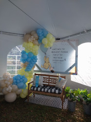 Photo208 1751572307 Single Panel Chiara Arch ~ Custom Backdrop Display