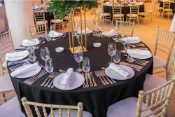 Dinner Napkin ~ White Cloth Table Linens